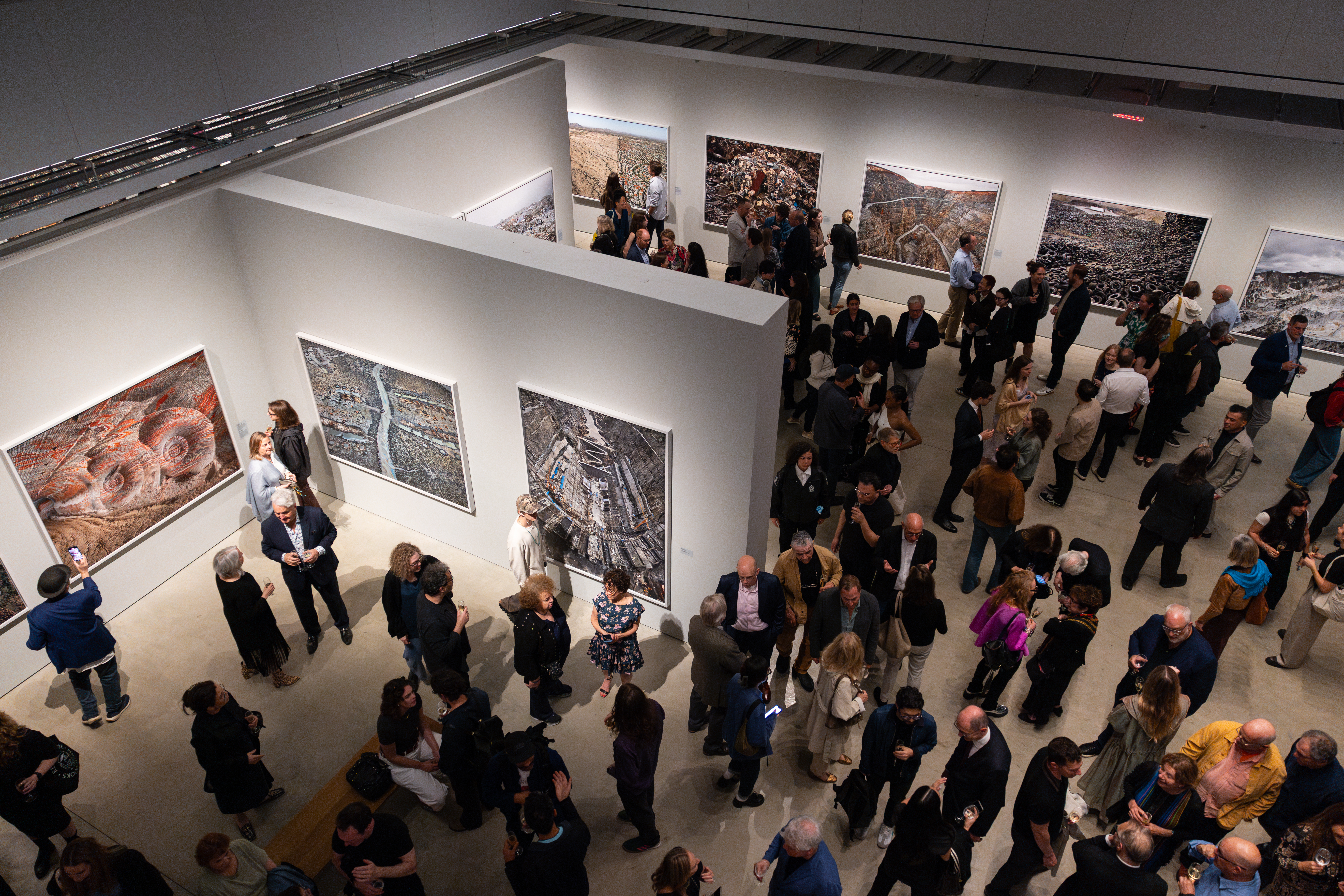 Image by Jenna Bascom